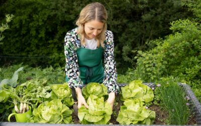 Jak wybrać idealny moment na założenie ogrodu warzywnego?