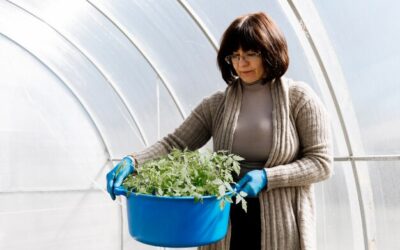 Jak efektywnie podlewać warzywa w tunelu podczas upałów?