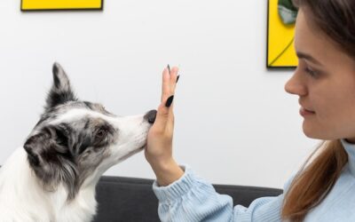 Jak NYX podchodzi do testów na zwierzętach?