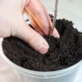 Jak pH torfu wpływa na uprawę roślin?