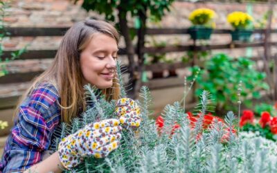 Jakie byliny warto posadzić w czerwcu, aby cieszyć się pięknym ogrodem?