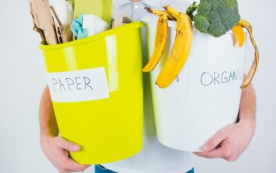 Jakie odpady trzeba zgłaszać do BDO?