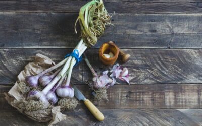 Czy czosnek ozdobny można sadzić wiosną?