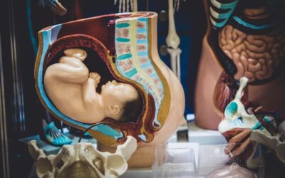 Jak radzić sobie z obniżeniem macicy na co dzień?