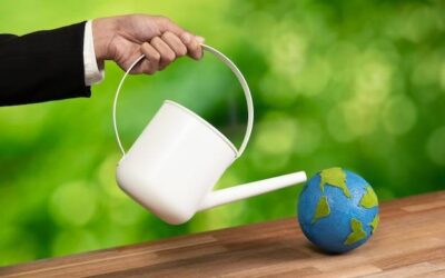 Jak samodzielnie nasycić wodę dwutlenkiem węgla w domu?