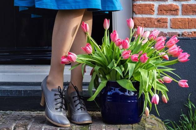 Jesienny termin sadzenia tulipanów w donicach – dlaczego warto?