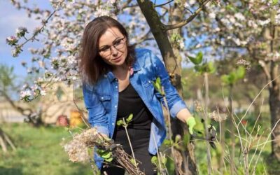 Kiedy najlepiej sadzić drzewa owocowe wiosną?