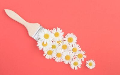 Czy rumianek faktycznie przyspiesza miesiączkę?