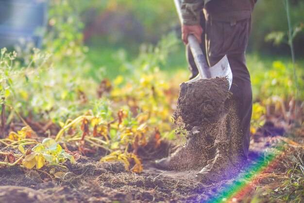 Czy ziemia kwiatowa sprawdzi się w uprawie warzyw?